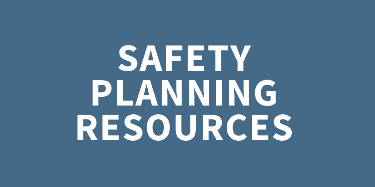 Safety Planning for Immigrant Survivors Nationalities Service Center